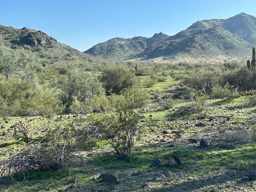 Phoenix: Guided Mountain Bike Adventure in Sonoran Desert - An Authentic Ride in the Heart of Phoenix’s Sonoran Desert