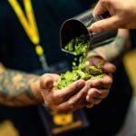 Phoenix: Sip, Stroll, and Discover Phoenixs Best Brews - First Brewery Stop: Local Bar