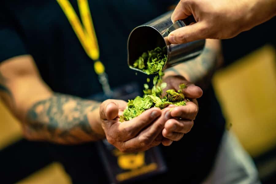 Phoenix: Sip, Stroll, and Discover Phoenixs Best Brews - First Brewery Stop: Local Bar