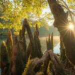 Photography Adventure to Capture Stunning Landscapes - Who Will Love This?