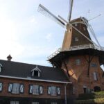 Piece of Holland Full-Day Tour in the Interior of Paraná - What to Expect in Terms of Experience and Value