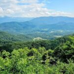 Pigeon Forge: Smoky Bear Discovery Tour - Exploring the Smoky Bear Discovery Tour: An In-Depth Look
