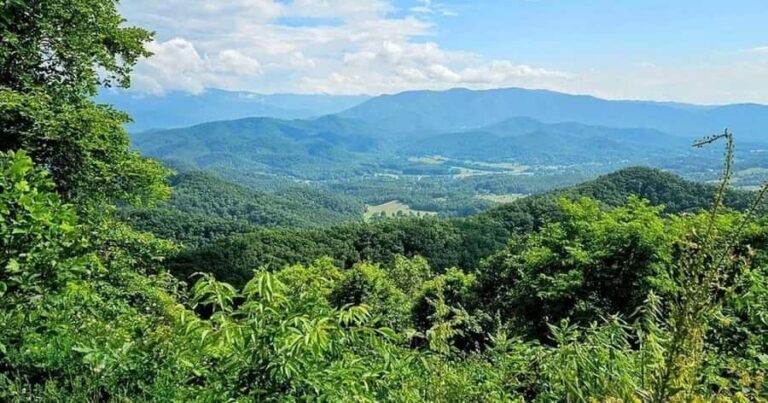 Pigeon Forge: Smoky Bear Discovery Tour - Exploring the Smoky Bear Discovery Tour: An In-Depth Look