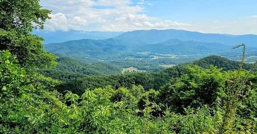 Pigeon Forge: Smoky Bear Discovery Tour - Exploring the Smoky Bear Discovery Tour: An In-Depth Look