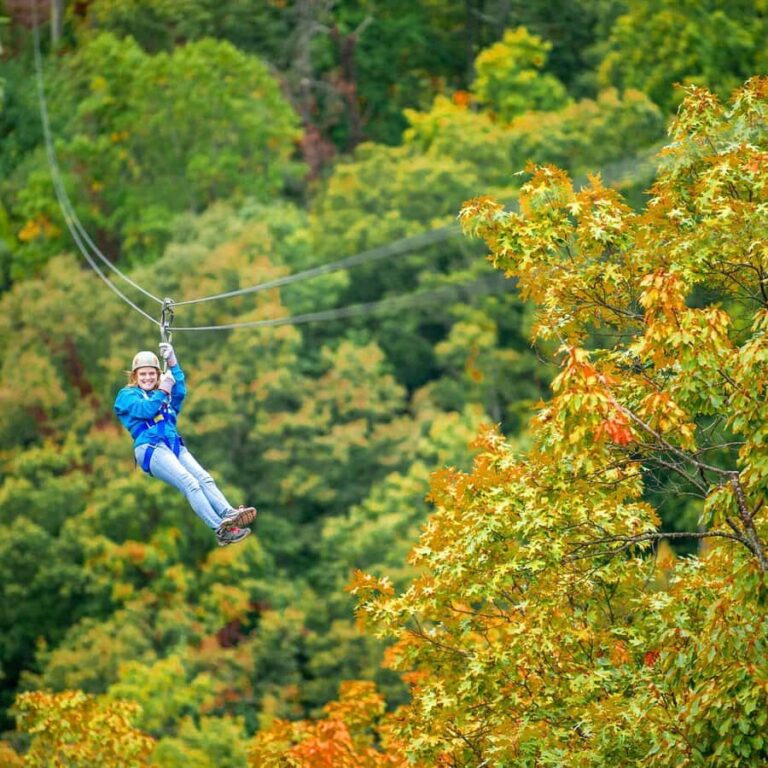 Pigeon Forge: Smoky Mountains 7-Line Zipline Tour - Who Should Consider This Tour?