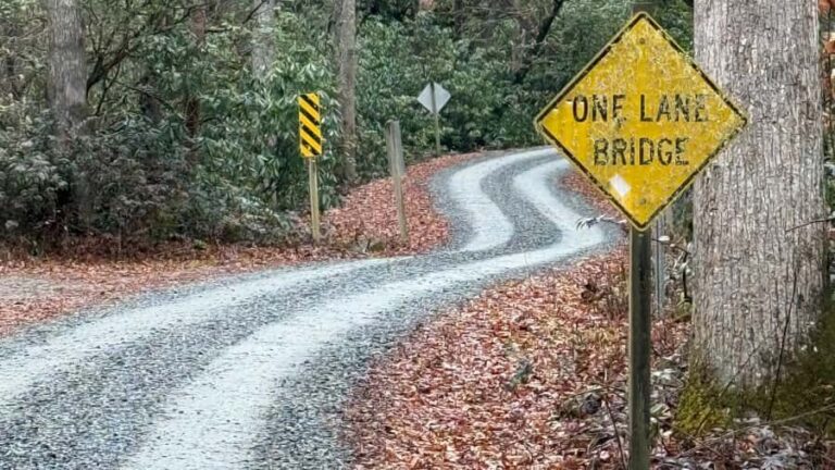 Pisgah Forest, NC: Off-Road BackRoads Tour by Jeep - Frequently Asked Questions (FAQs)