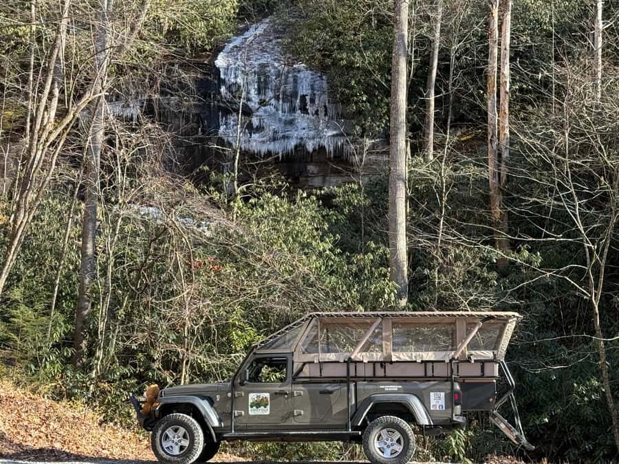 Pisgah Forest, NC: Waterfall Adventure Tour - Who Will Love This Tour?