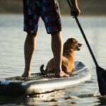 Plymouth Harbor Stand-Up Paddleboard Rental - Why Choose This Paddleboard Rental?
