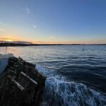 Plymouth: Oyster Farm Boat Tour with Tasting - A Closer Look at the Plymouth Oyster Farm Boat Tour