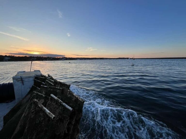 Plymouth: Oyster Farm Boat Tour with Tasting - A Closer Look at the Plymouth Oyster Farm Boat Tour