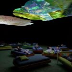 Portland Art Museum Entry Ticket - An In-Depth Look at the Portland Art Museum Experience