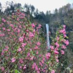 Portland: Columbia River Gorge Waterfalls Hike & Bike Tour - Who Should Consider This Tour?
