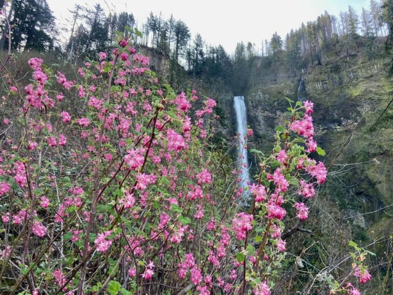 Portland: Columbia River Gorge Waterfalls Hike & Bike Tour - Who Should Consider This Tour?