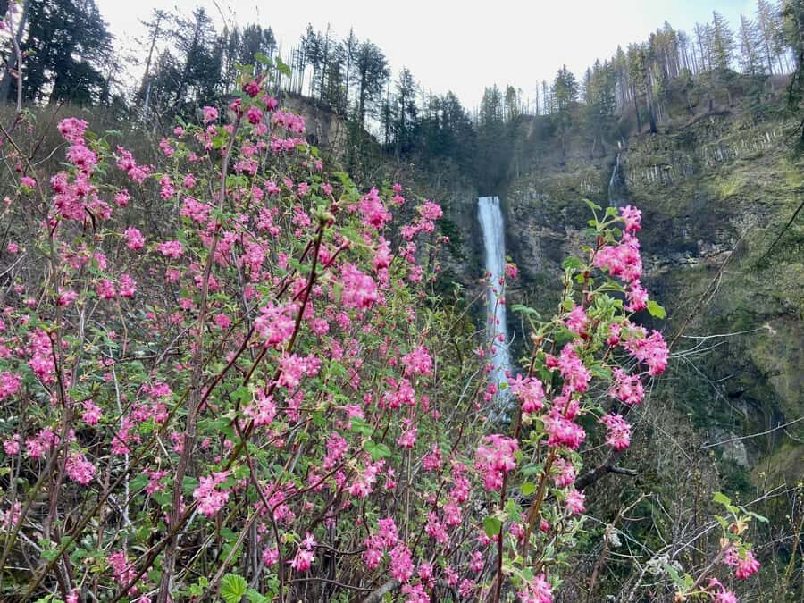 Portland: Columbia River Gorge Waterfalls Hike & Bike Tour - Who Should Consider This Tour?