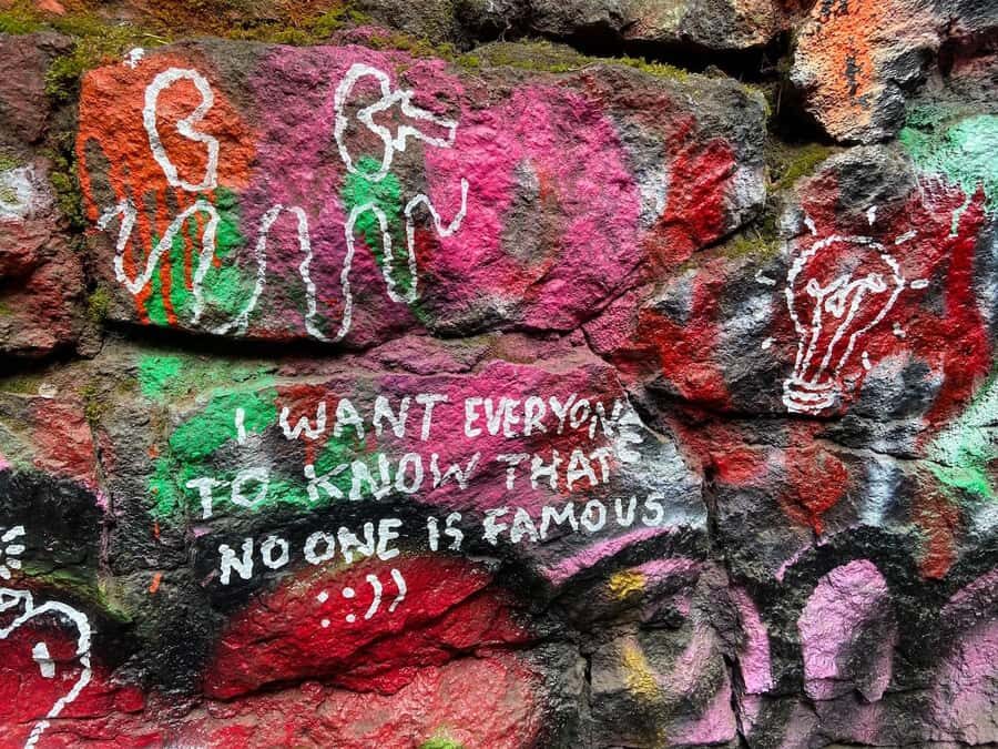 Portland Oregon: Forest Park Guided Hike with Witches Castle - The Sum Up