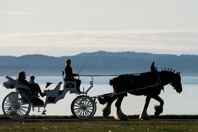 Premier Horse-Drawn Carriage Experience in Victoria - The Practicalities: What to Expect