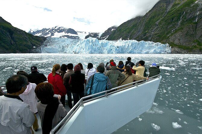 Prince William Sound 26 Glacier Cruise, Self-Drive - The Experience in Depth