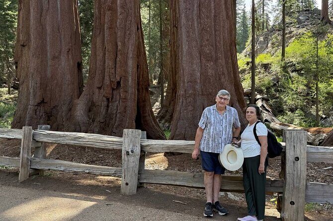 Private 1-Day Sequoia and Kings Canyon Park Tour from Los Angeles - Who Will Love This Tour?