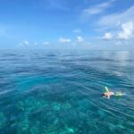 Private 4-Hour Snorkel Charter. Snorkel Gear Included! - Final Thoughts