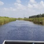 Private Airboat Tours Near West Palm Beach - Who Will Benefit Most From This Tour?