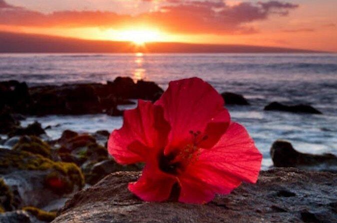 Private Airport Transfer to Waikoloa Resorts Private Residence - Making Your Hawaii Arrival or Departure Special