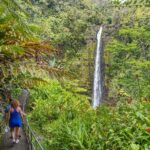 Private: All Inclusive Big Island Waterfalls Tour - Who Will Love This Tour?