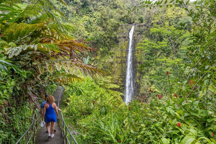 Private: All Inclusive Big Island Waterfalls Tour - Who Will Love This Tour?