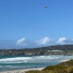 Private Big Sur and Carmel Scenic Drive from San Jose - What Makes This Tour Stand Out?