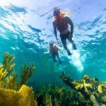 Private Boat Ride & Snorkeling Tour In Puerto Morelos - In-Depth Review of the Private Snorkeling Tour in Puerto Morelos