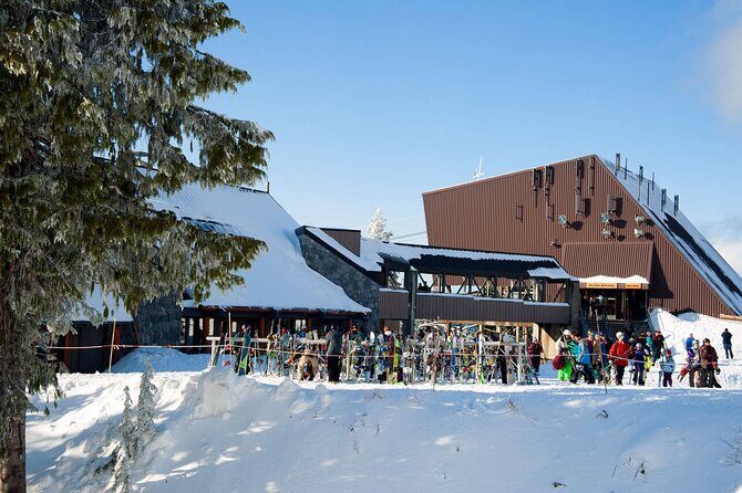 Private Capilano Bridge Grouse Mountain and Lighthouse Day Trip - Why This Tour Delivers Real Value