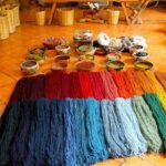 private car tour with driver - The Sum Up