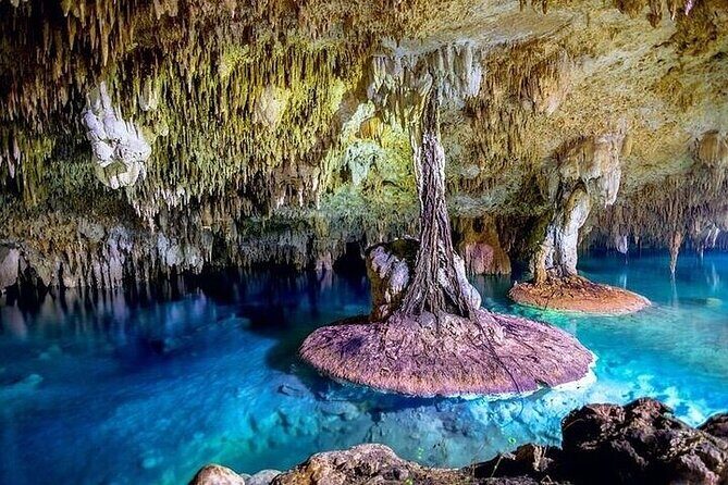Private Cenote Sac Actun Cave Adventure from Cancun - What Travelers Say