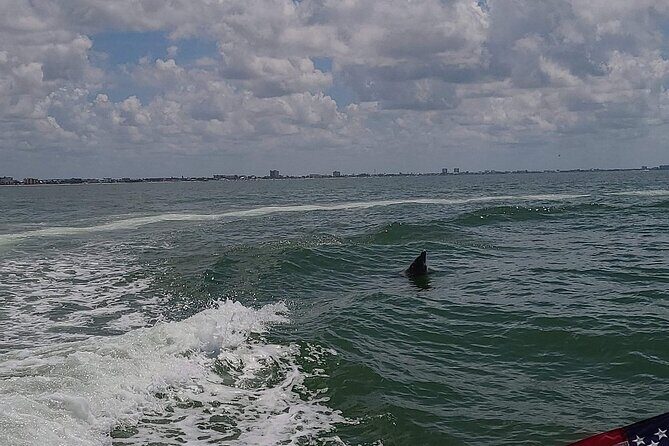 Private Day Cruise: Explore Cape Coral, Sanibel and Fort Myers - Who Would Enjoy This Tour?