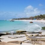 Private Egmont Key Excursion - What Travelers Say and Why It Matters