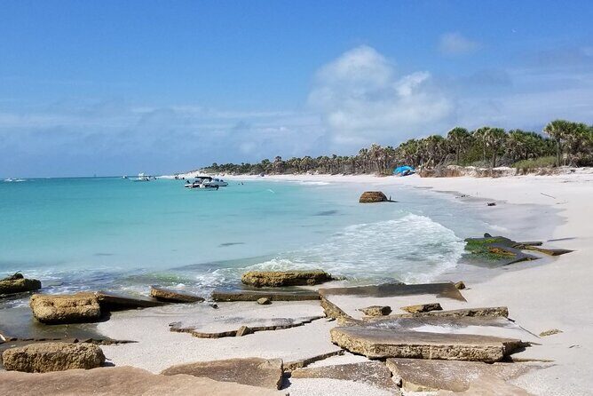 Private Egmont Key Excursion - What Travelers Say and Why It Matters