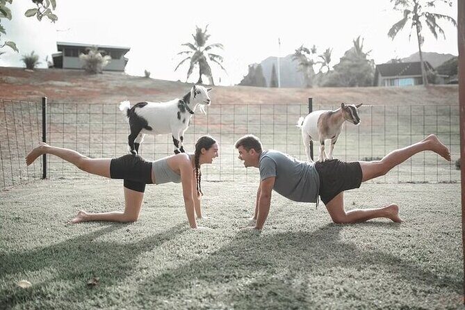 Private Event Goat Yoga Class - Who Should Consider This Experience?