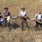 Private Everglades Airboat Rides West Palm Beach - A Deep Dive into the Everglades Experience