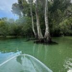 Private Guided Clear Kayak/Paddleboard Rentals on Rainbow River - An In-Depth Look at the Rainbow River Adventure
