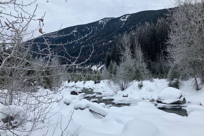 Private Guided Snowshoe Adventure in Glacier National Park - Exploring the Glacier National Park Snowshoe Tour in Detail