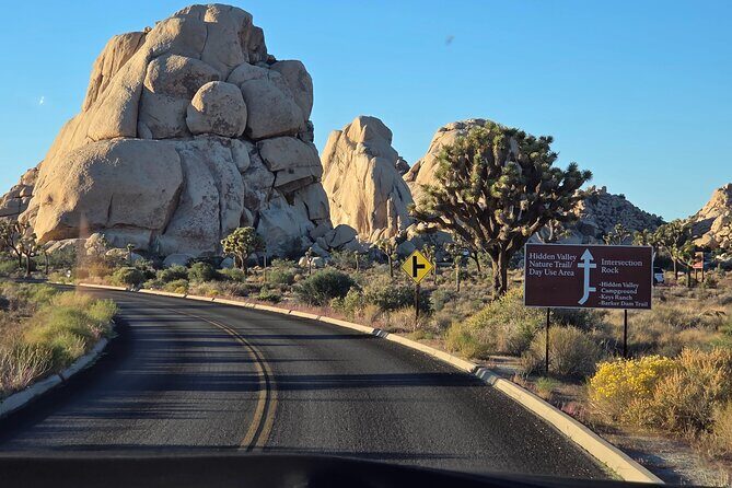 Private H2 Hummer for up to 6 in Joshua Tree National Park - Exploring Joshua Tree in Style: A Deep Dive into the Hummer Experience