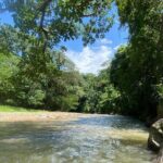 Private Hiking Experience Waterfall and Hidden Jungle Paradise - An In-Depth Look at Your Jungle Escape