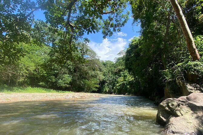 Private Hiking Experience Waterfall and Hidden Jungle Paradise - An In-Depth Look at Your Jungle Escape