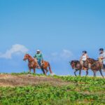 Private Horseback Riding in Cabo San Lucas - Who Is This Tour Best For?