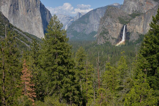 Private Los Angeles to Yosemite Valley Multi Day Tour - How the Experience Works: Transportation, Guides, and Flexibility
