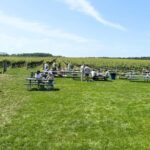 Private Luxury Winery Trip of Long Island, New York, USA - Why You Should Consider This Tour