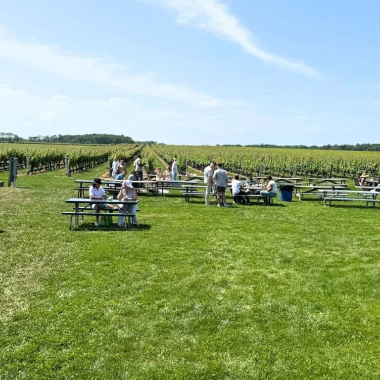 Private Luxury Winery Trip of Long Island, New York, USA - Why You Should Consider This Tour