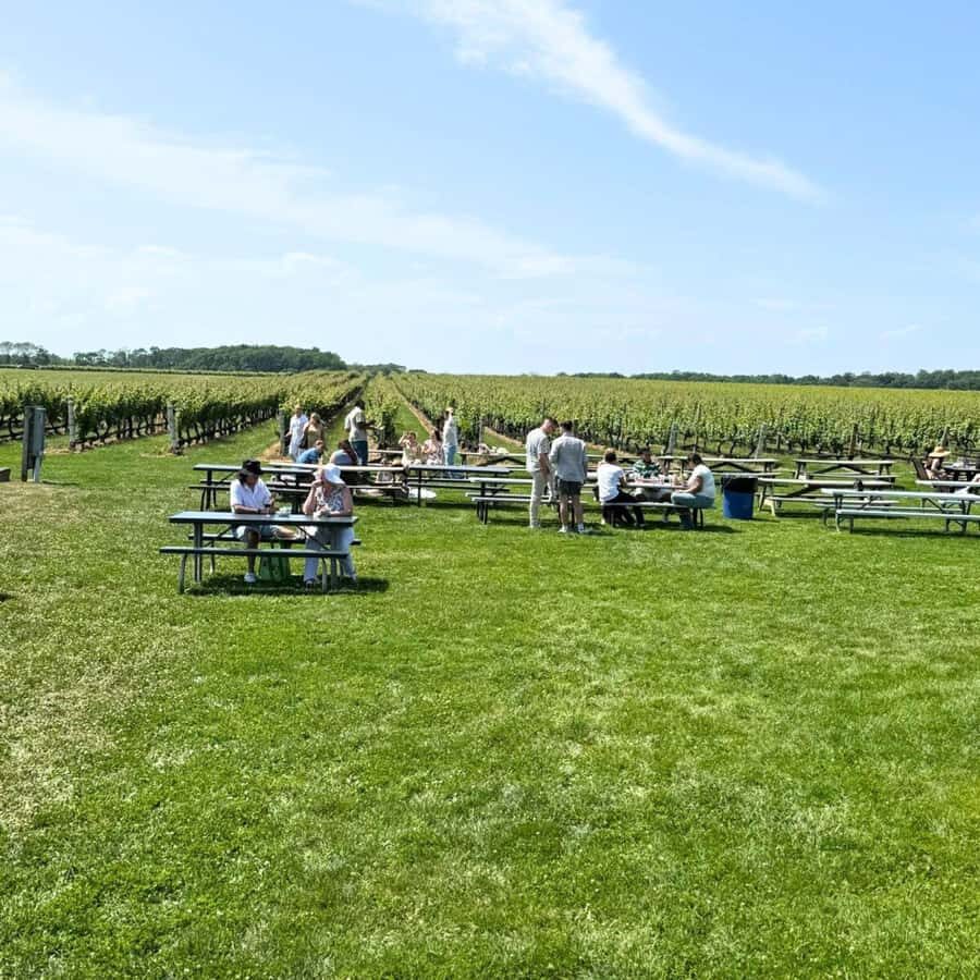 Private Luxury Winery Trip of Long Island, New York, USA - Why You Should Consider This Tour