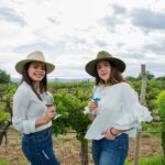 Private Mexico City Wine Tour: Hidden Valley Vineyards - An In-Depth Look at the Mexico City Wine Tour