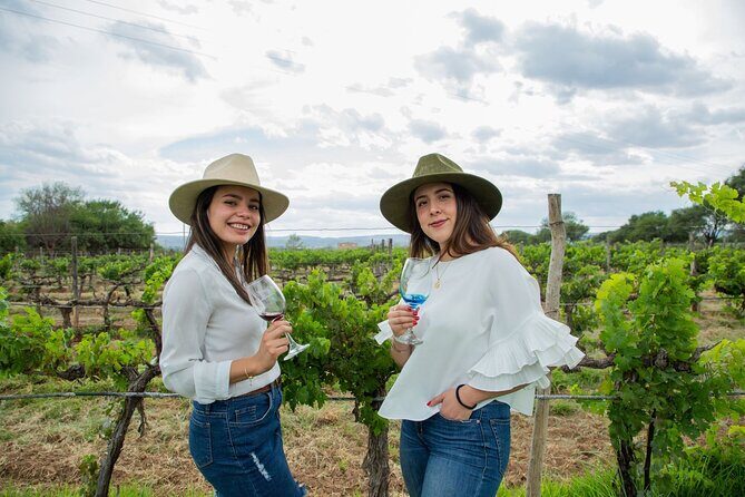 Private Mexico City Wine Tour: Hidden Valley Vineyards - An In-Depth Look at the Mexico City Wine Tour