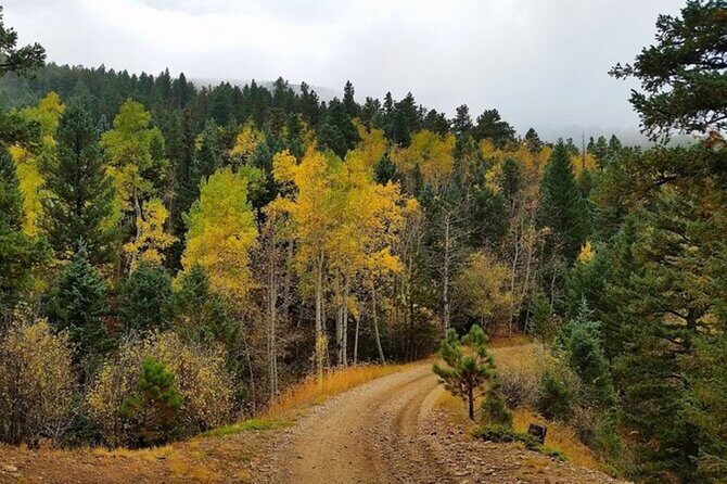 Private Mountain Roads Tour with E Bikes from Denver - The Riding Experience: What You Can Expect